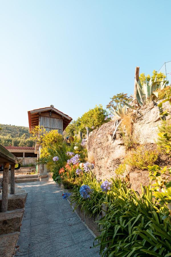 Quinta Da Fonte - Agroturismo Barroselas Bagian luar foto