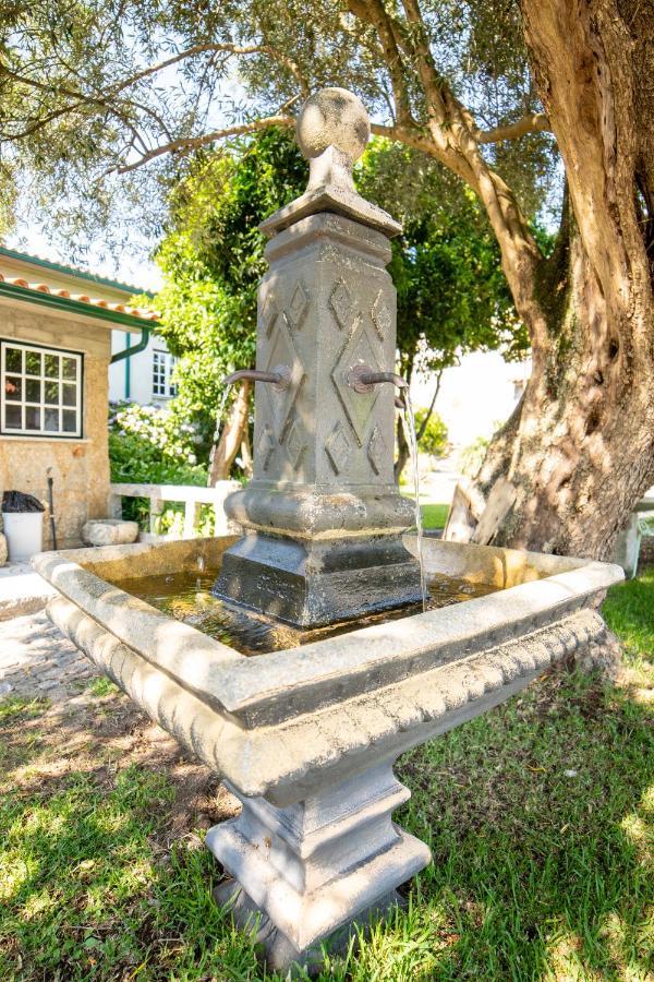 Quinta Da Fonte - Agroturismo Barroselas Bagian luar foto