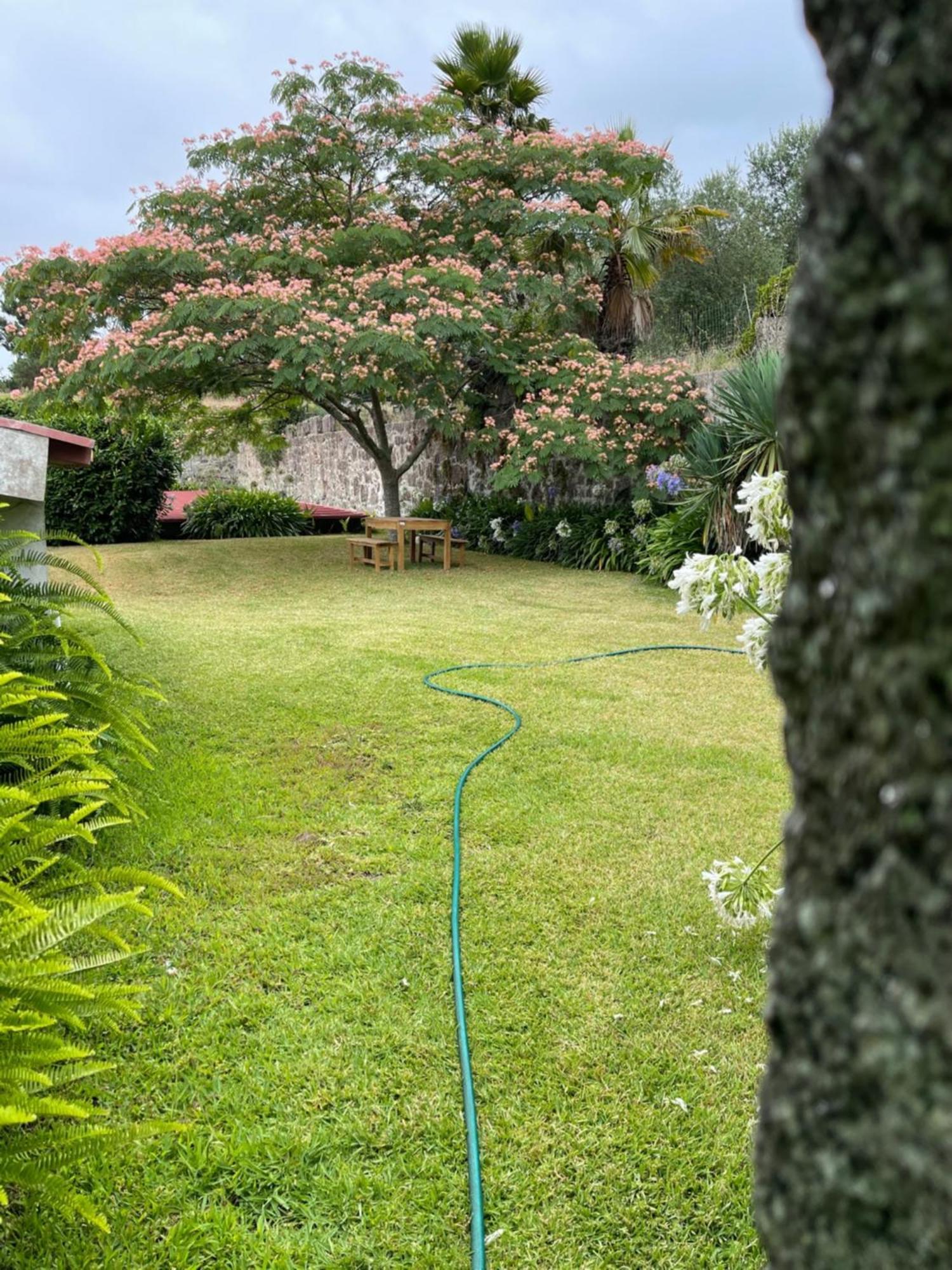 Quinta Da Fonte - Agroturismo Barroselas Bagian luar foto