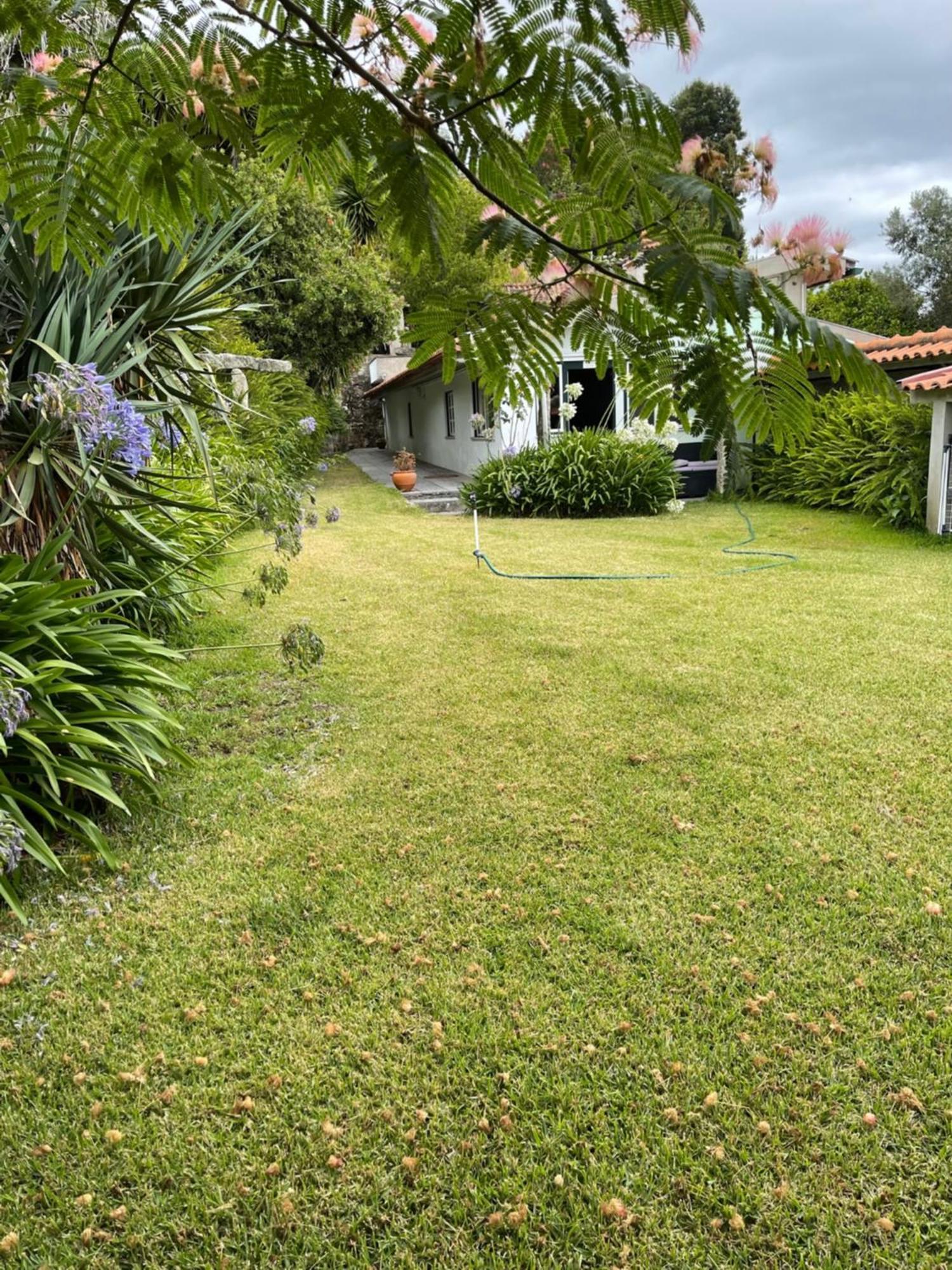 Quinta Da Fonte - Agroturismo Barroselas Bagian luar foto